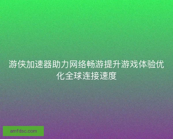 游侠加速器助力网络畅游提升游戏体验优化全球连接速度