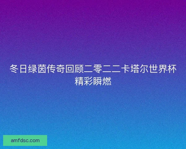 冬日绿茵传奇回顾二零二二卡塔尔世界杯精彩瞬燃