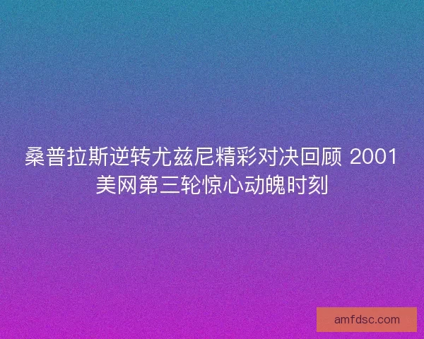 桑普拉斯逆转尤兹尼精彩对决回顾 2001美网第三轮惊心动魄时刻