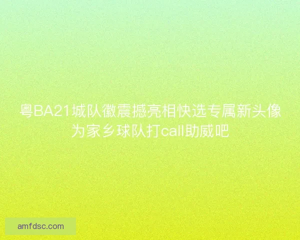 粤BA21城队徽震撼亮相快选专属新头像为家乡球队打call助威吧