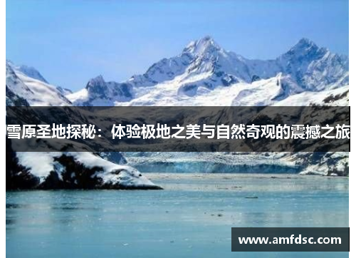 雪原圣地探秘：体验极地之美与自然奇观的震撼之旅