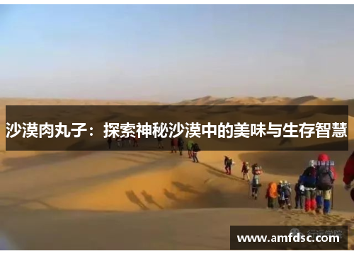 沙漠肉丸子：探索神秘沙漠中的美味与生存智慧